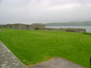 Remnants of Charles Fort